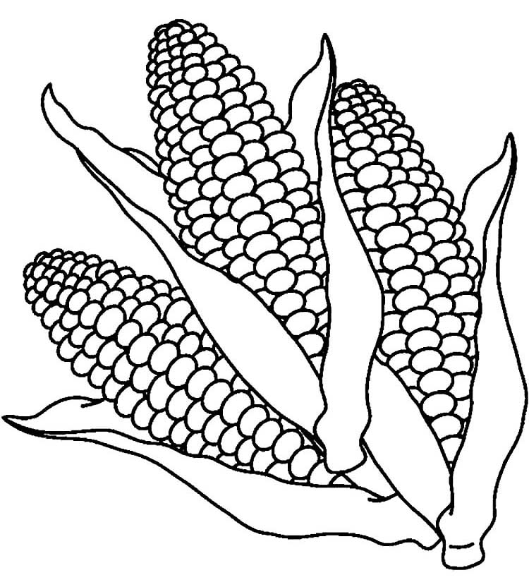 Раскраски Кукуруза