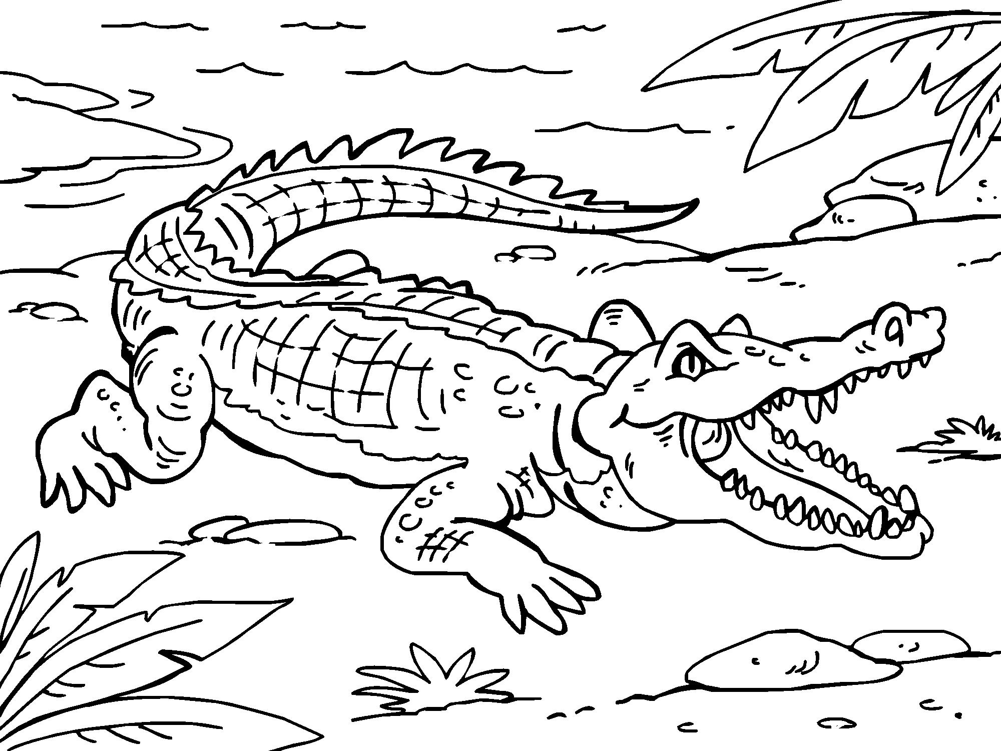 Раскраски Крокодилы
