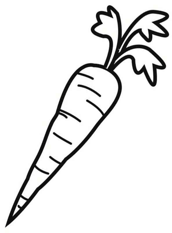 Раскраски Морковь
