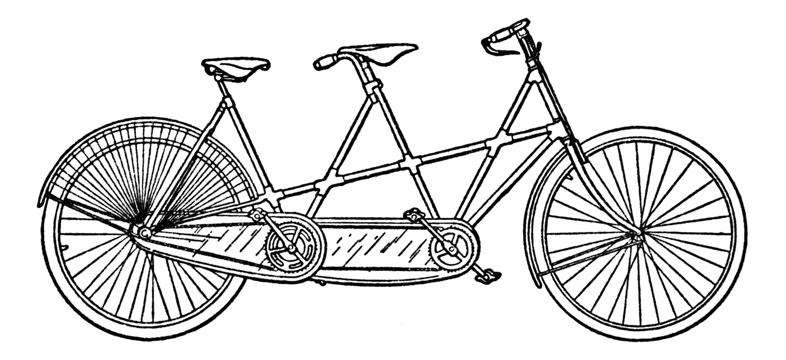Трехместный велосипед рисунок