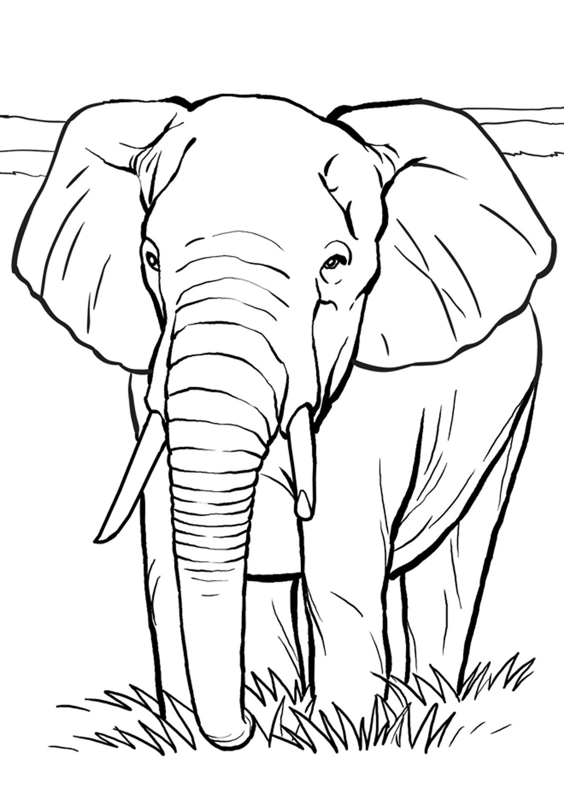 Раскраски Слоны