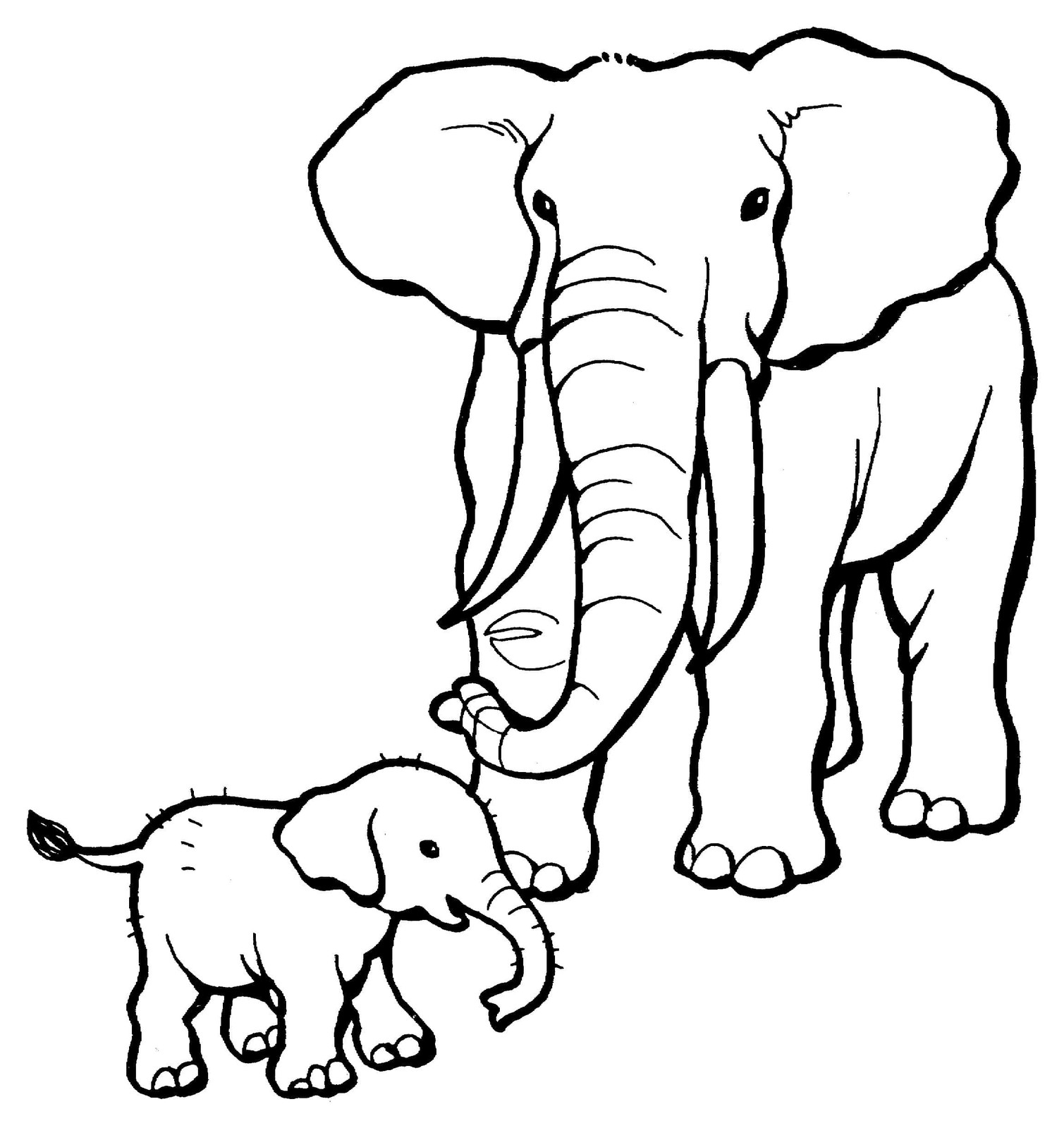 Раскраски Слоны