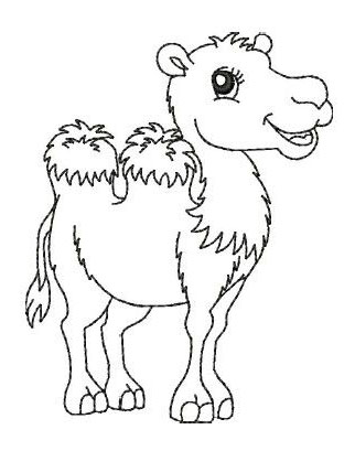 Раскраски Верблюды