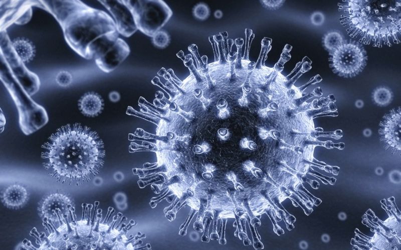 20 фактов о вирусах