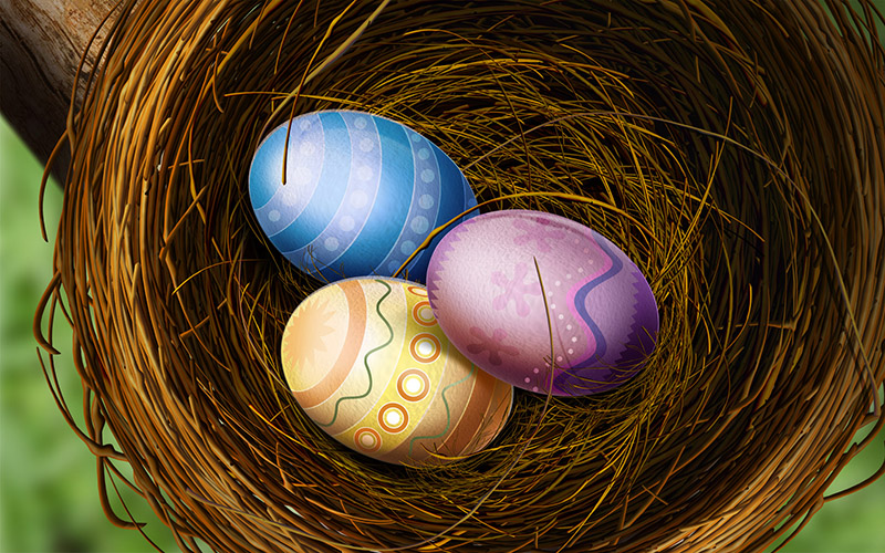 Интересные факты о яйцах