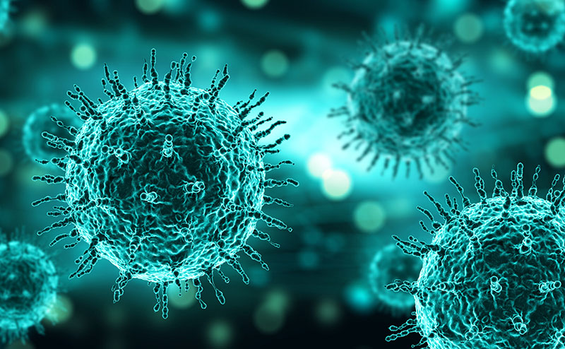 Факты о пандемии коронавируса (COVID-19)
