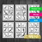 Обучающие материалы по теме Птицы