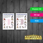 Обучающие материалы по теме Птицы