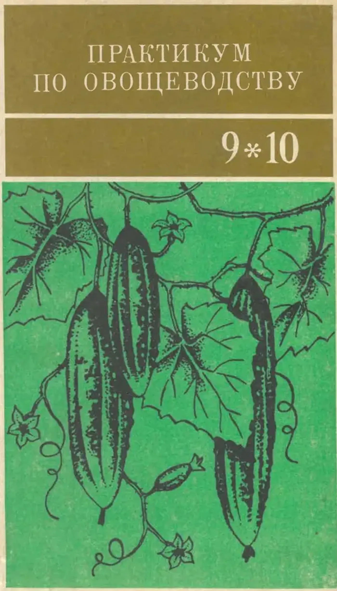 Практикум по овощеводству (Тараканов, 1978) Практикум по овощеводству (Тараканов, 1978)
