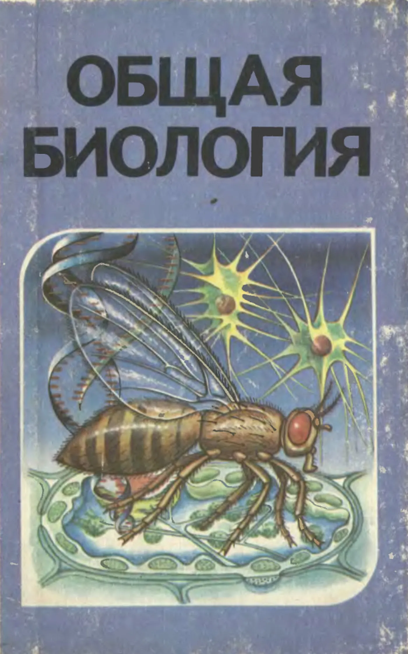 Общая биология (Беляев, 1991) Общая биология (Беляев, 1991)