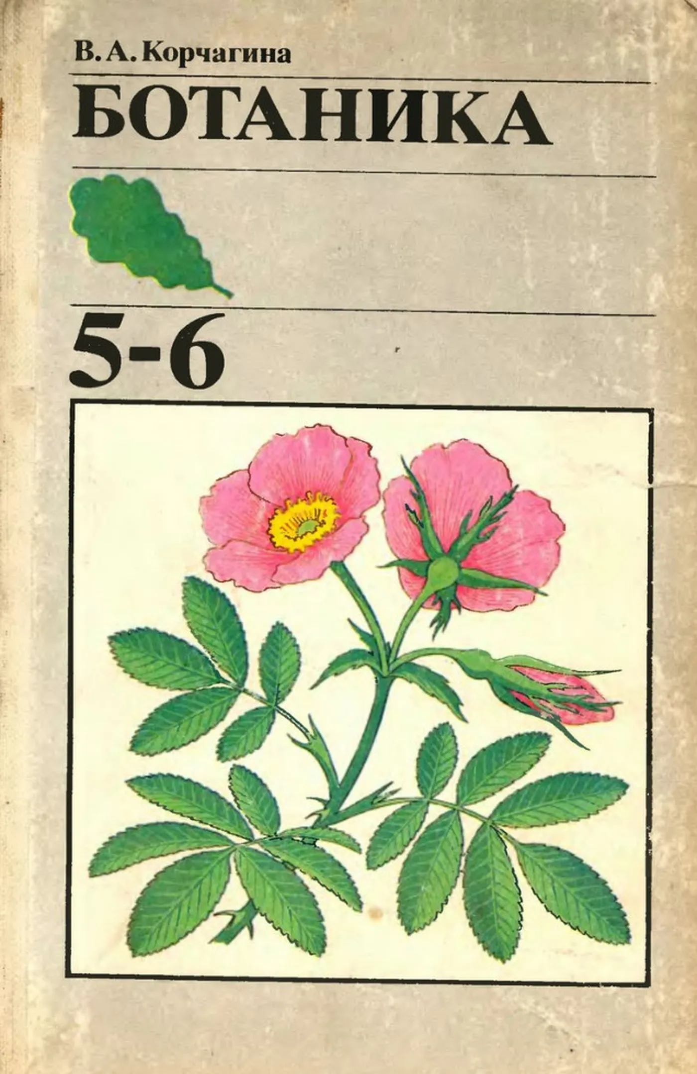 Ботаника (Корчагина, 1985) Ботаника (Корчагина, 1985)