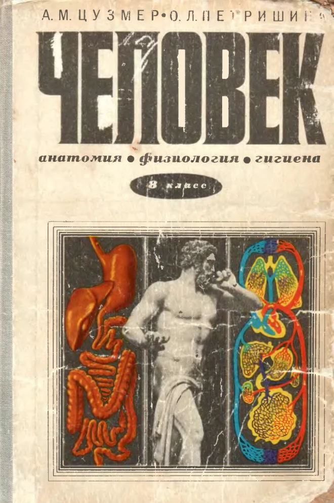 Человек (Цузмер, 1979) Человек (Цузмер, 1979)